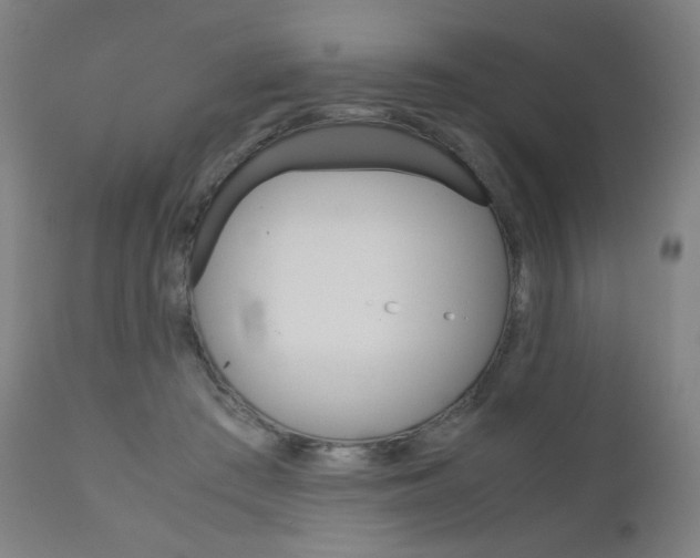 X0000110950409200906191119