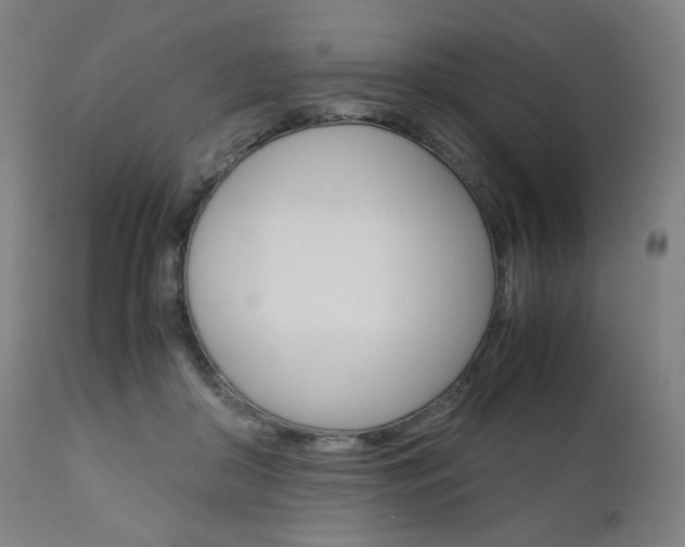 X0000110950410200906191119