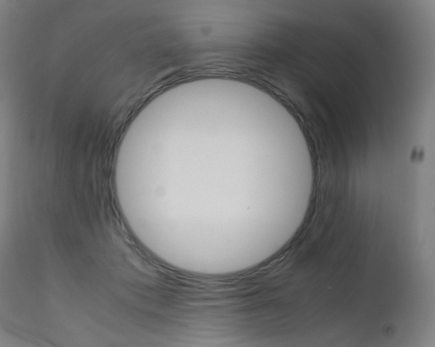 X0000110950413200906191119
