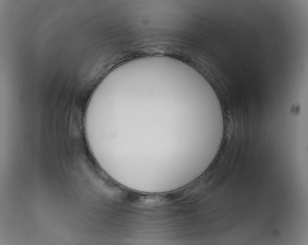 X0000110950414200906191119