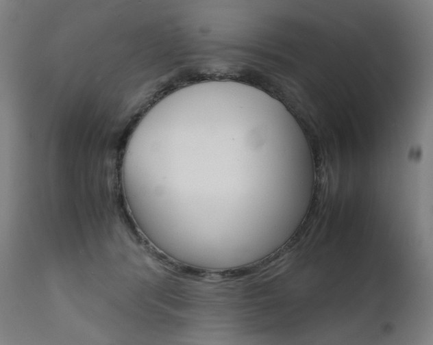 X0000110950416200906191119