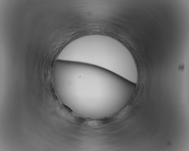 X0000110950417200906191119