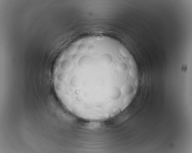 X0000110950418200906191119