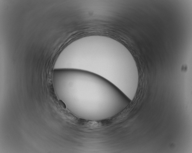 X0000110950421200906191119