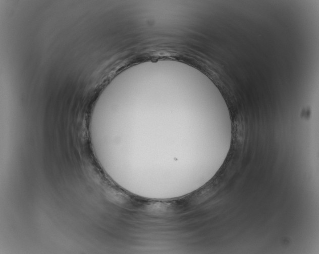 X0000110950422200906191119