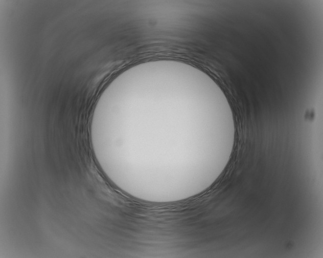 X0000110950423200906191119