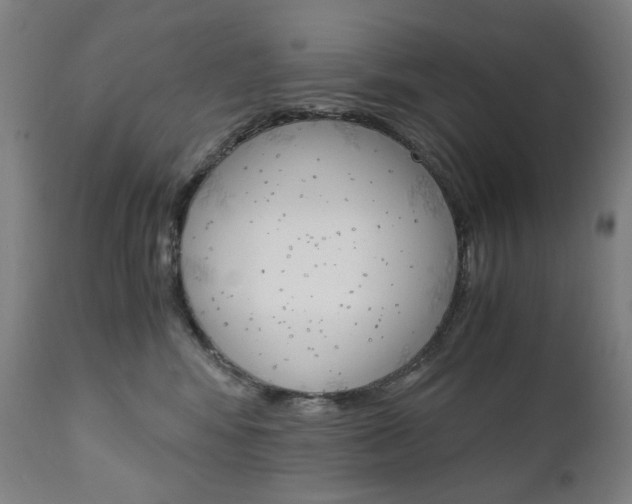 X0000110950424200906191119