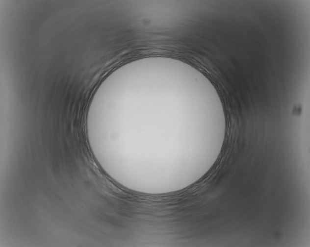 X0000110950425200906191119