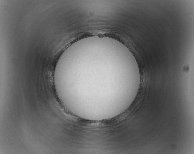 X0000110950426200906191119