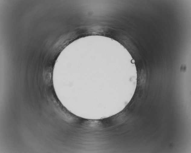 X0000110950427200906191119