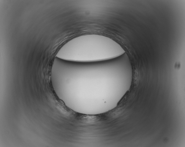 X0000110950428200906191119