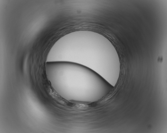 X0000110950429200906191119