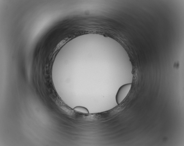 X0000110950430200906191119