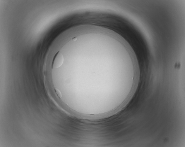 X0000110950431200906191119