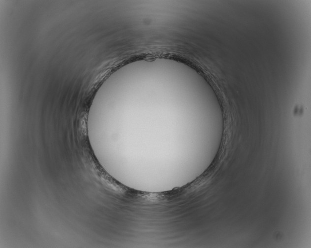 X0000110950432200906191119