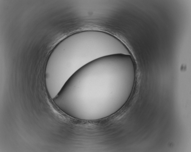 X0000110950433200906191118