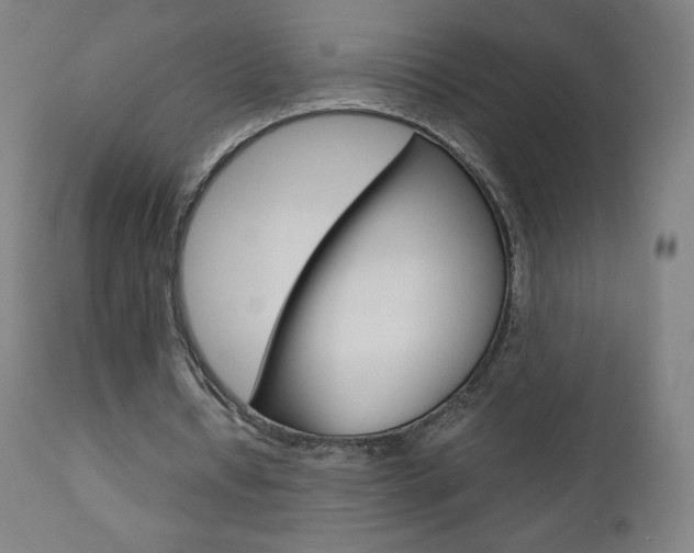 X0000110950434200906191118