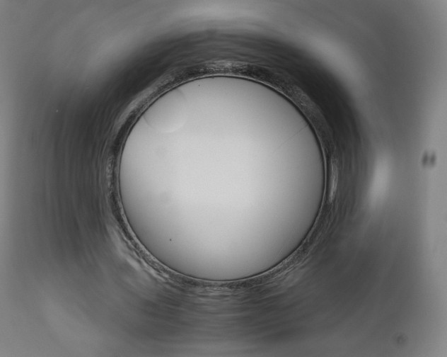 X0000110950435200906191118