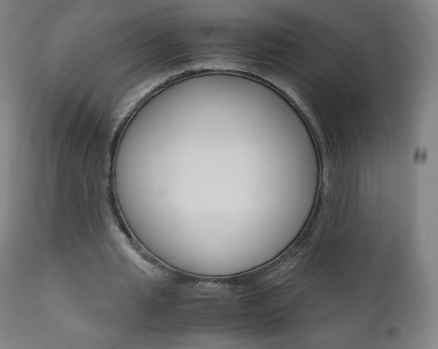 X0000110950437200906191118