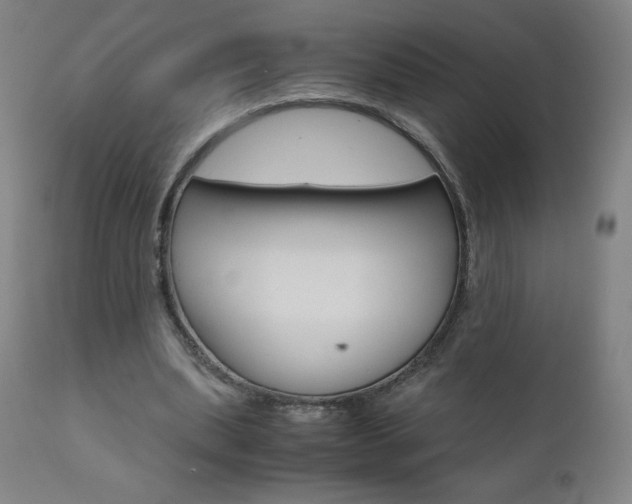 X0000110950439200906191118