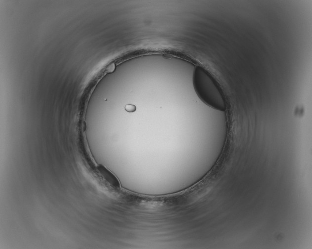X0000110950440200906191118