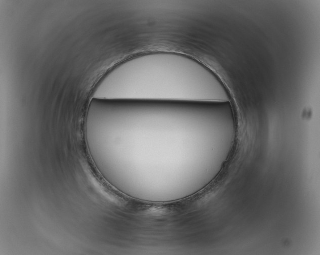 X0000110950441200906191119