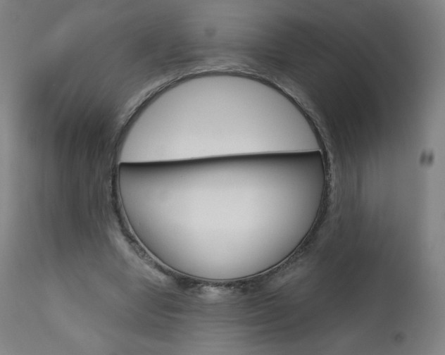 X0000110950442200906191119