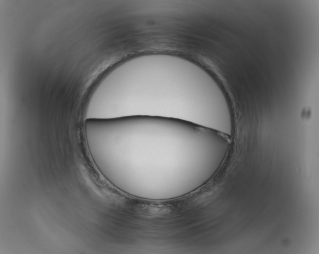 X0000110950443200906191119