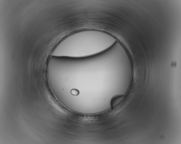 X0000110950445200906191119