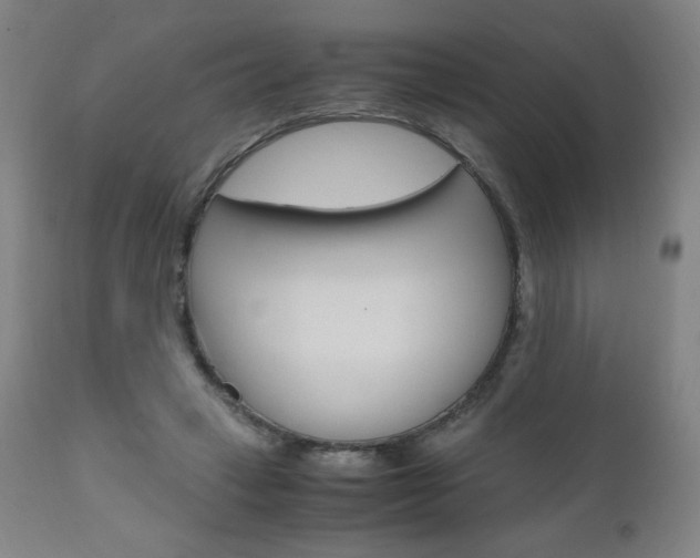 X0000110950449200906191119