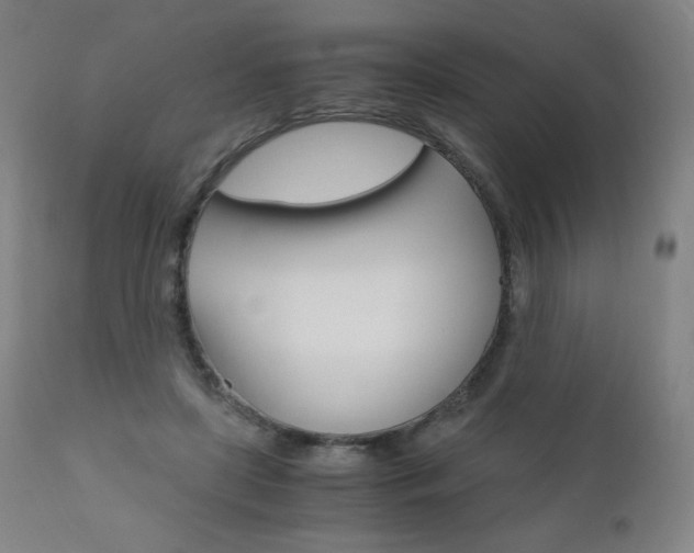 X0000110950451200906191119