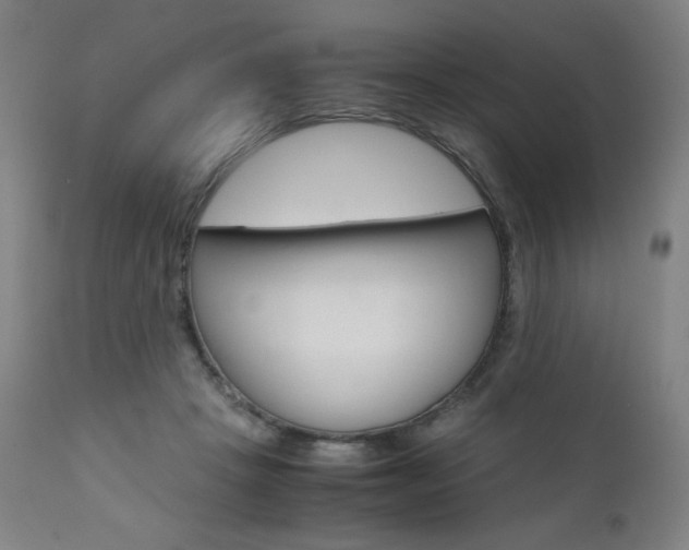 X0000110950457200906191119