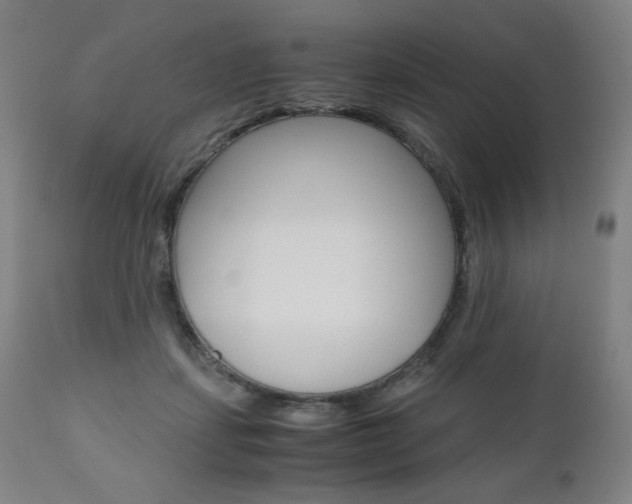 X0000110950459200906191119