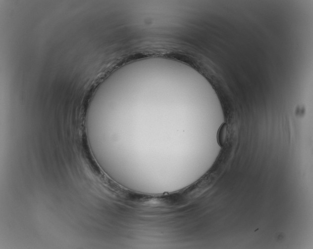 X0000110950460200906191119