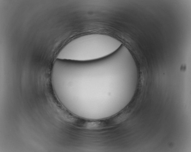 X0000110950461200906191119