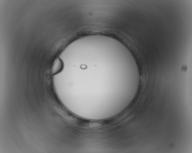 X0000110950462200906191119