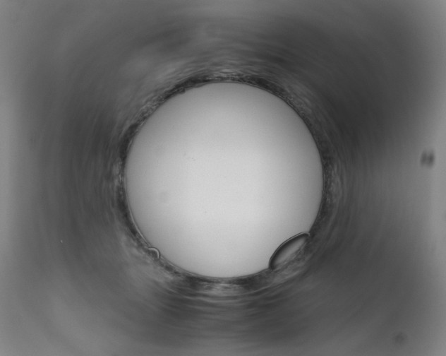 X0000110950463200906191119