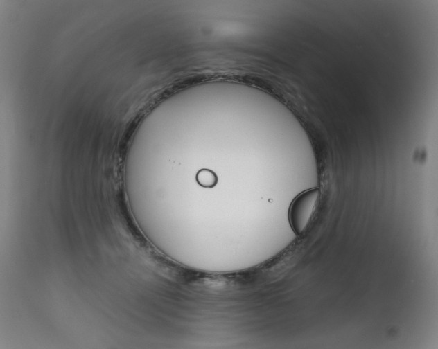 X0000110950464200906191119