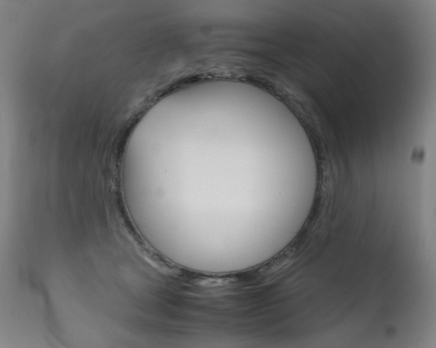 X0000110950465200906191119