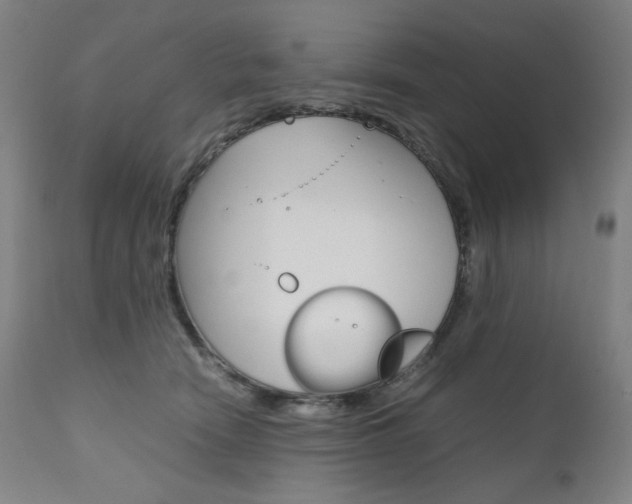 X0000110950466200906191119