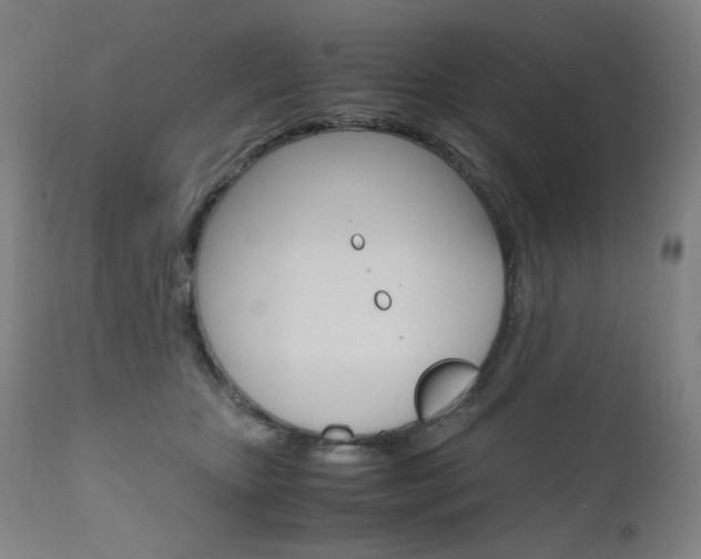 X0000110950467200906191119