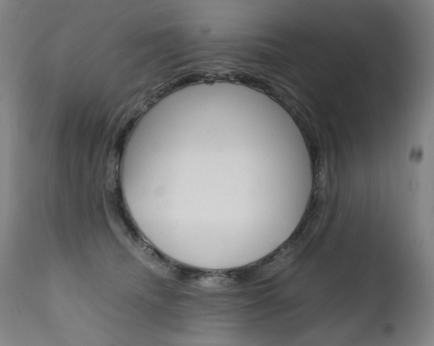 X0000110950468200906191119