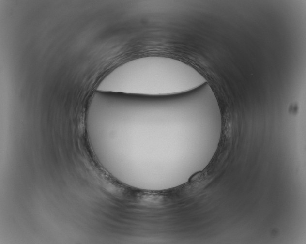 X0000110950471200906191119