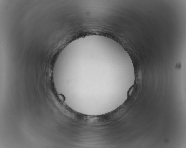 X0000110950472200906191119