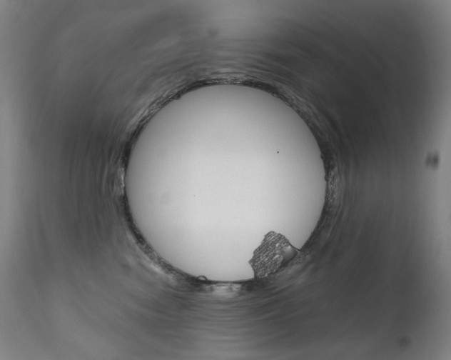X0000110950474200906191119