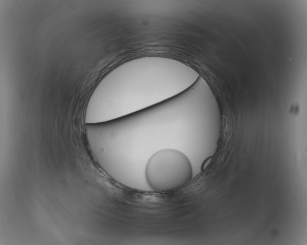 X0000110950475200906191119