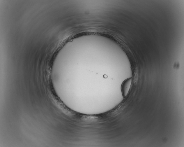 X0000110950476200906191119