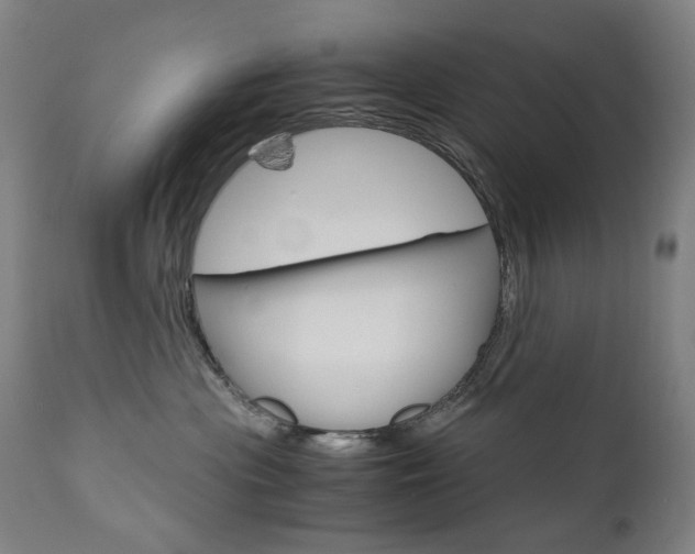 X0000110950477200906191119