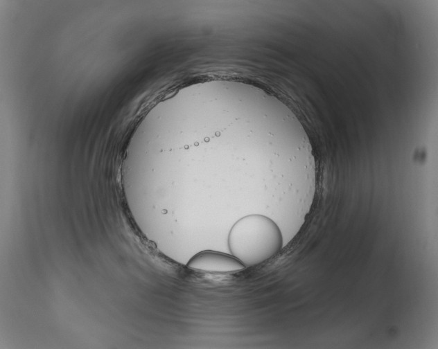 X0000110950478200906191119
