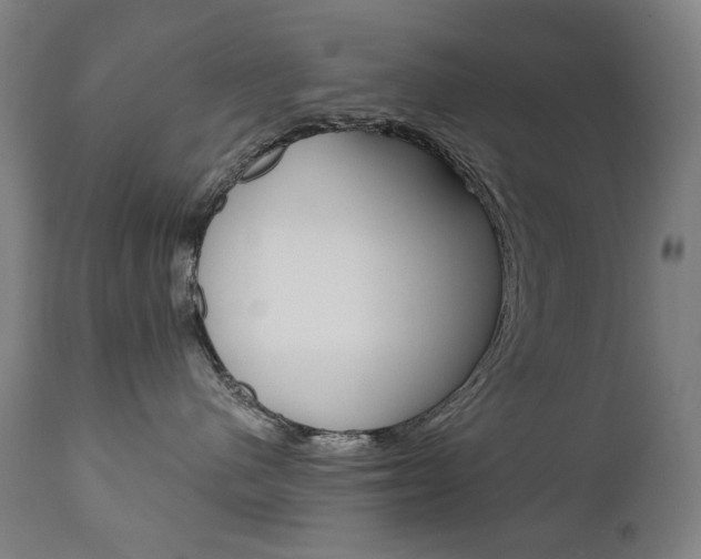 X0000110950480200906191119
